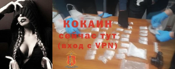 ешки Арсеньев