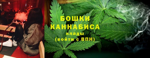 ешки Арсеньев