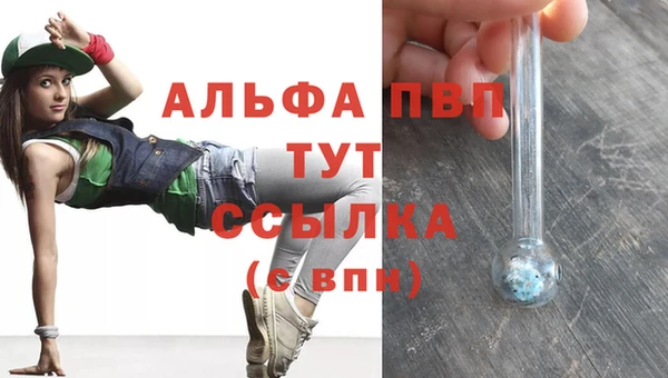 ешки Арсеньев